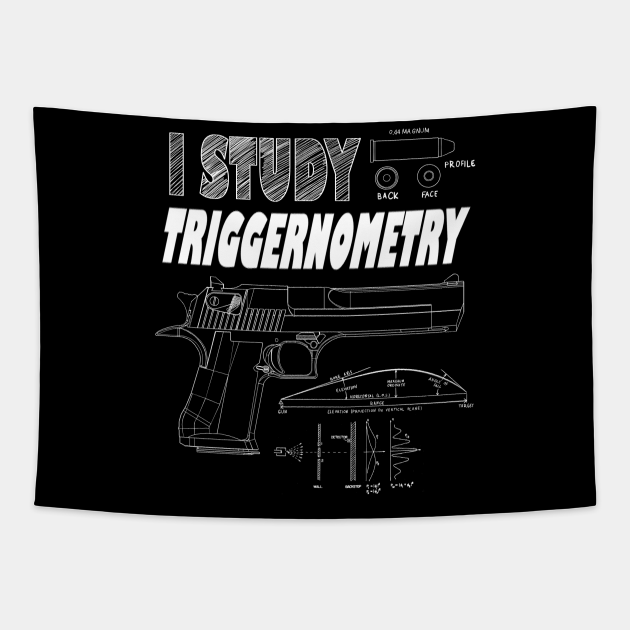 study triggernometry