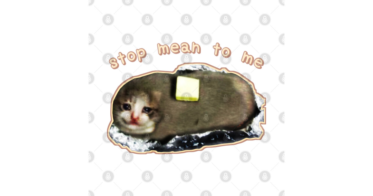 stop mean to me #3 starring crying cat baked potato - wholesome cat ...