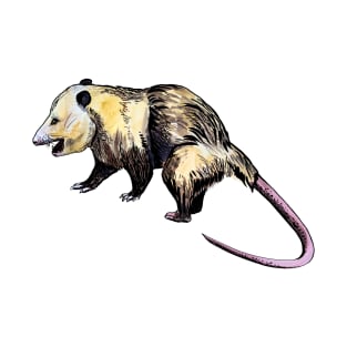 opossum T-Shirt