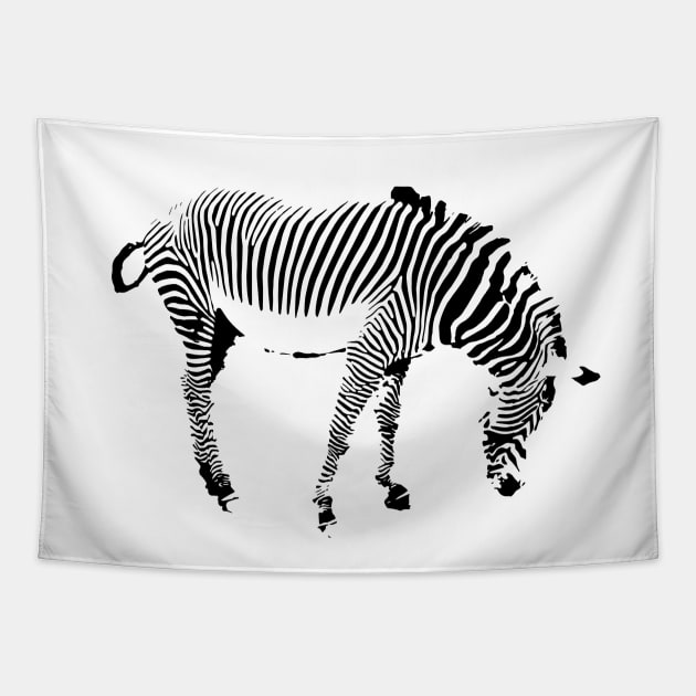 Zebra Tapestry by Shyflyer