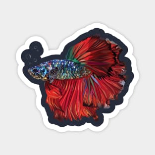 Betta Fish Magnet