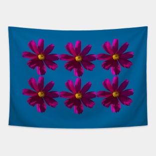 Dark Pink Cosmos Flowers in Six Pattern Tapestry