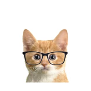 Red kitten with glasses T-Shirt