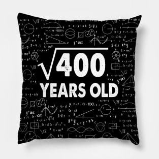 Square Root of 400 20th Birthday 20 Years Old Math Science Lover Gifts Nerdy Geeky Gift Idea Pillow