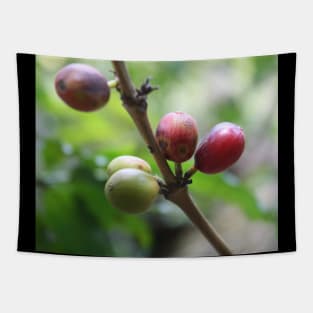 Coffe seeds Tapestry