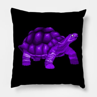 A Purple Turtle Pillow