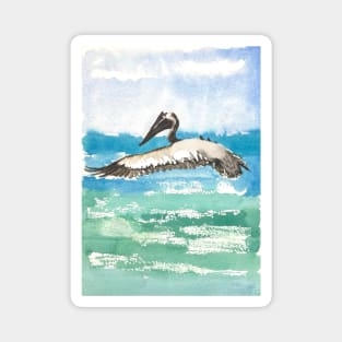 Pelican in Mexico Magnet