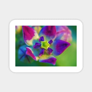 flower in bloom Magnet