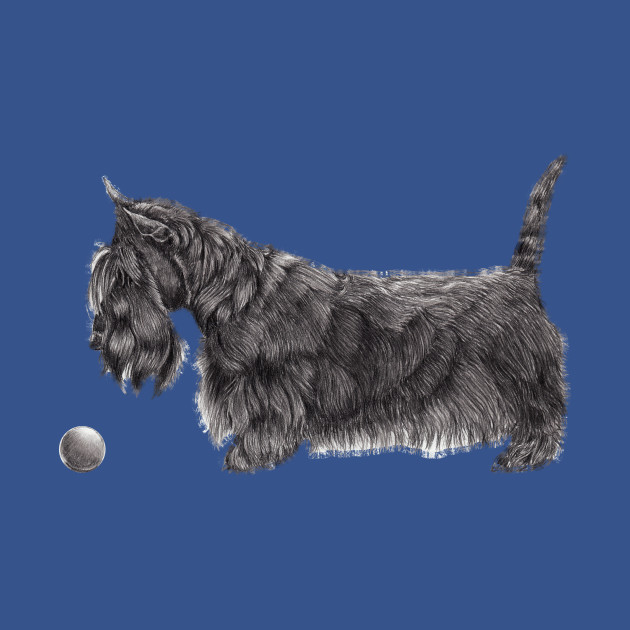 Disover Scottish terrier - Terrier - T-Shirt
