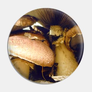 Under Mushroom Pin