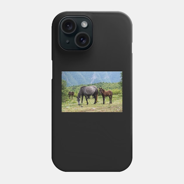 Mountain Horses Phone Case by Anastasia-03