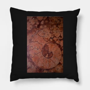 Fossil Pillow