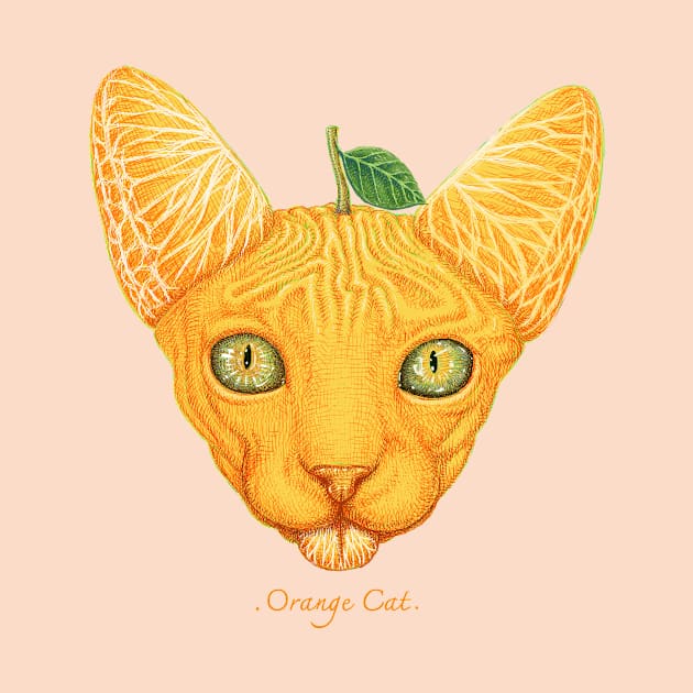 orange cat by makapa