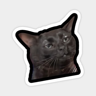 Tired Black Cat Meme Dissociated Funny Internet, Black cat zoning out Magnet