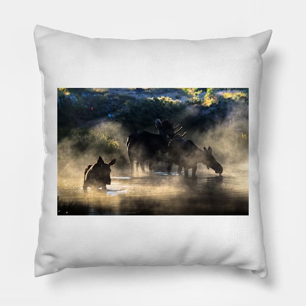 Foggy Morning with Moose Pillow by valentina9