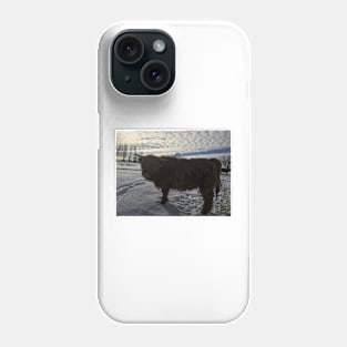 Scottish Highland Cattle Calf 1943 Phone Case