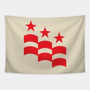DC Flag Tapestry