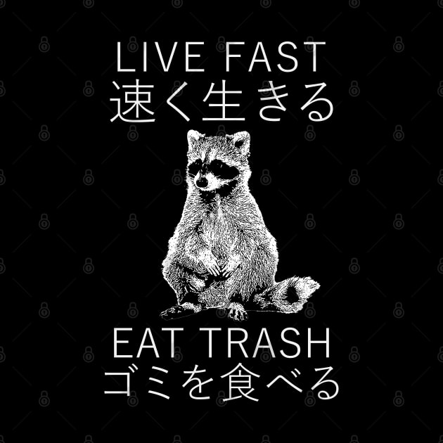 LIVE FAST RACCOON JAPANESE by giovanniiiii