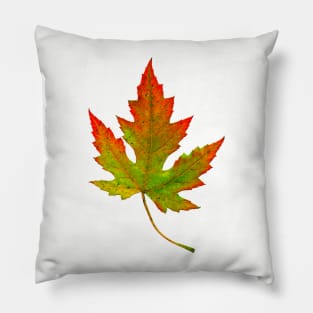 autumn leaf Pillow