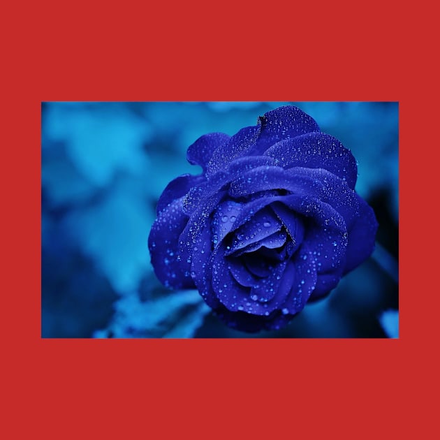 Blue rose by Rivas Teepub Store