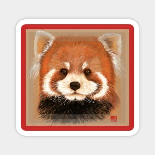 Cute Red panda Magnet