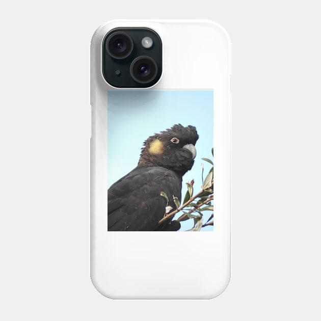 Yellow-tailed Black Cockatoo Phone Case by kirstybush