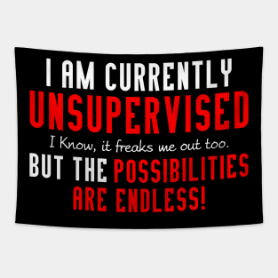 I'm Currently Unsupervised Novelty Graphic Sarcastic Funny Tapestry