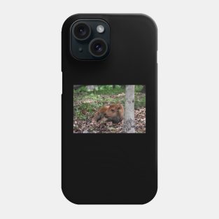 Bison Calf Phone Case