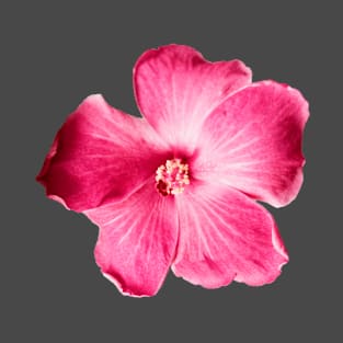 Dark Pink Hibiscus Photograph Die Cut Hawaiian Flower T-Shirt