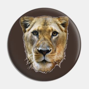 Lioness from Africa Pin