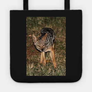 Side-striped Jackal at Night Tote