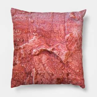 Dirty painted wall Pillow