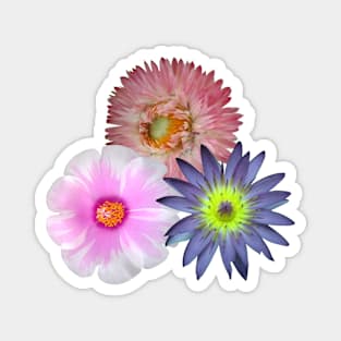 Tri-Color Flower Magnet