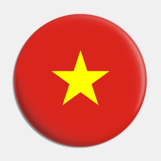 Flag of Vietnam Pin