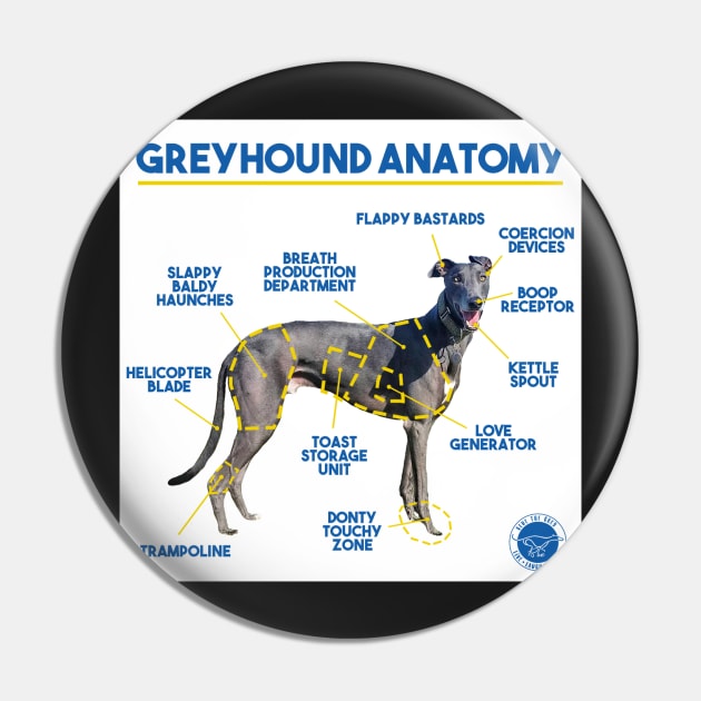 Greyhound Anatomy Pin by bluethegrey