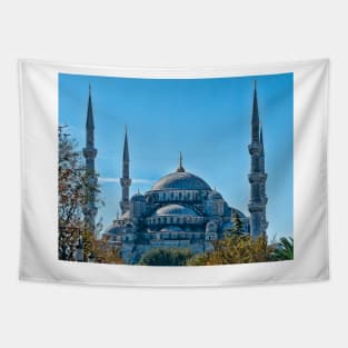 The Blue Mosque, Istanbul, Turkey Tapestry