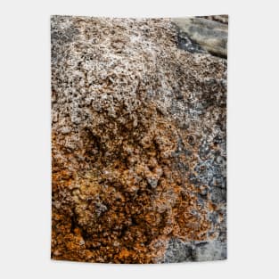 Rustic Seaside Erosion Texture - Alternative Tapestry