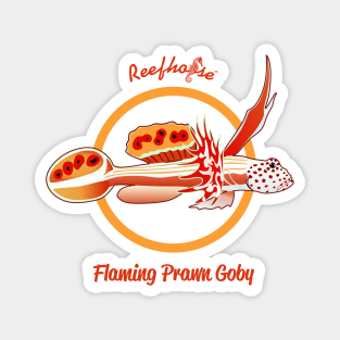 Flaming Prawn Goby Magnet