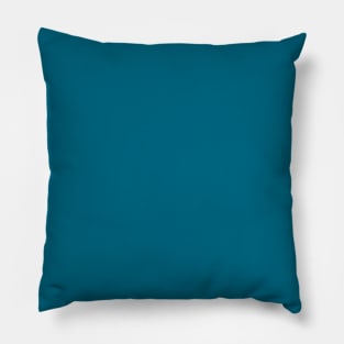 Teal Pillow