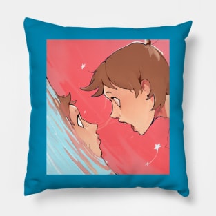 Reflection Pillow