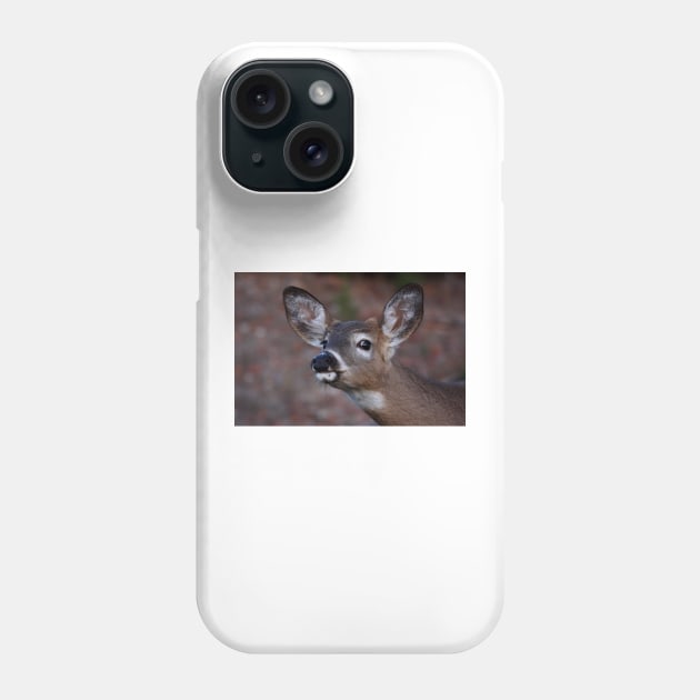 Kiss me! - White-tailed Deer Phone Case by Jim Cumming