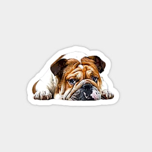 English British Bulldog Magnet