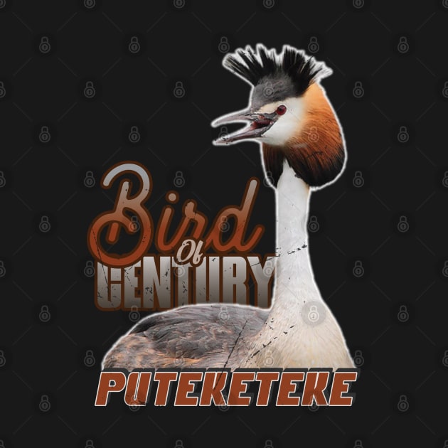 Puteketeke --- Bird Of The Century by Trendsdk