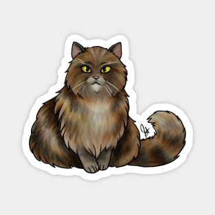 Cat - British Longhair - Brown Tabby Magnet