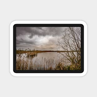 A view across Rockland Broad, Norfolk Magnet