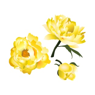 yellow peony on blue T-Shirt