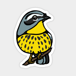 Magnolia Warbler Graphic Magnet