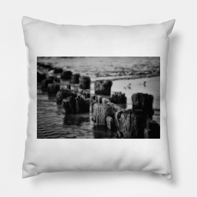 Ocean Ruins In Black And White Pillow by JimDeFazioPhotography