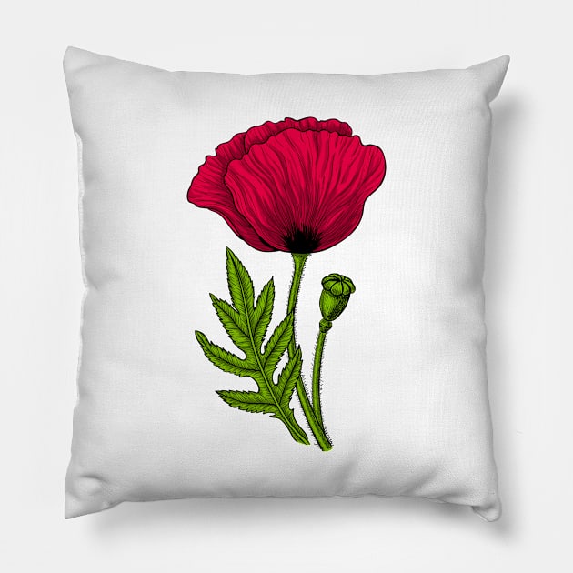 Red poppy 3 Pillow by katerinamk