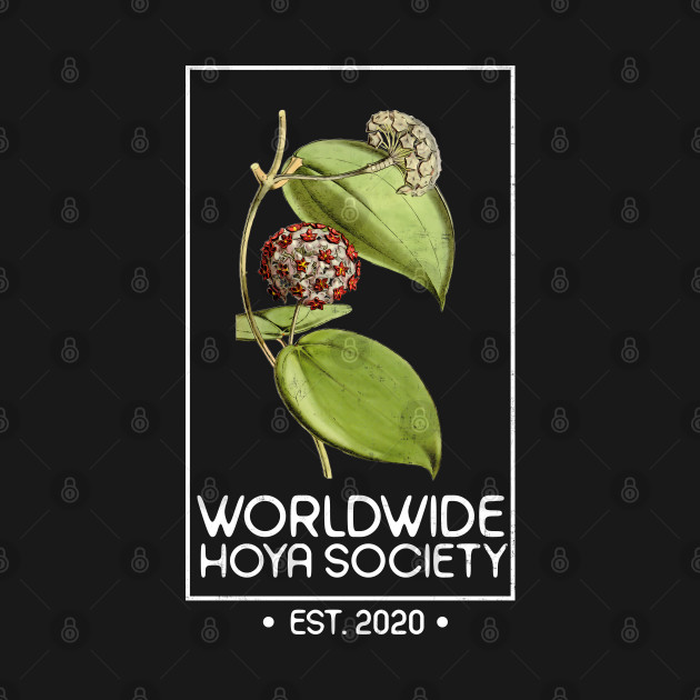 Worldwide Hoya Society - White by Pico Originals